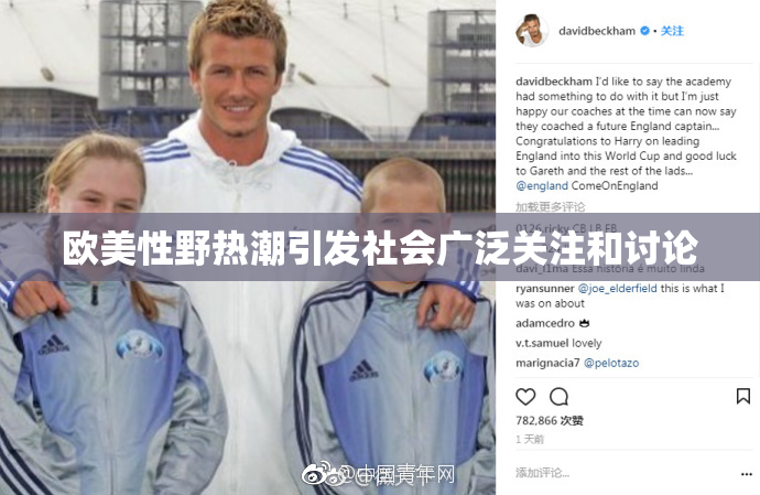 欧美性野热潮引发社会广泛关注和讨论