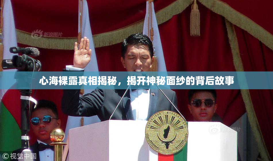 心海裸露真相揭秘，揭开神秘面纱的背后故事