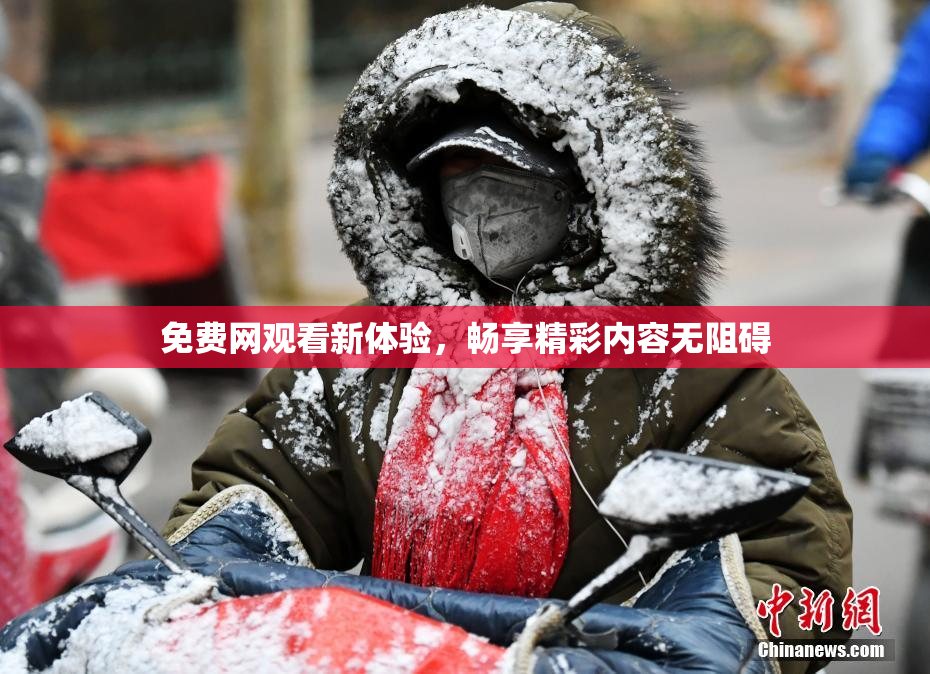 免费网观看新体验，畅享精彩内容无阻碍