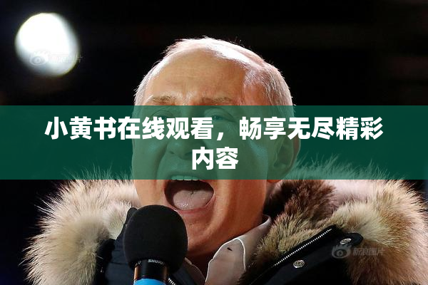 小黄书在线观看，畅享无尽精彩内容