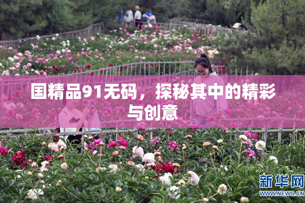 国精品91无码，探秘其中的精彩与创意