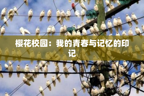 樱花校园：我的青春与记忆的印记