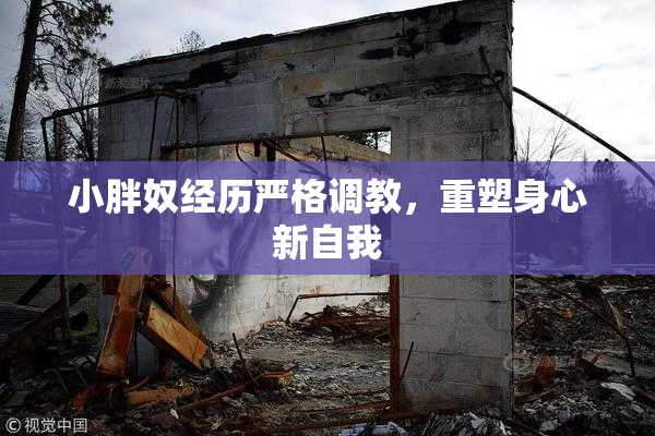 小胖奴经历严格调教，重塑身心新自我