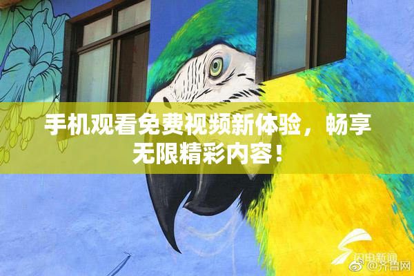 手机观看免费视频新体验，畅享无限精彩内容！
