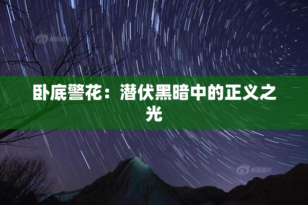 卧底警花：潜伏黑暗中的正义之光