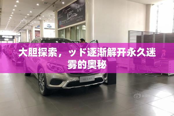 大胆探索，ッド逐渐解开永久迷雾的奥秘