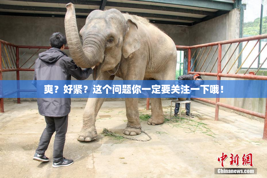 爽？好紧？这个问题你一定要关注一下哦！