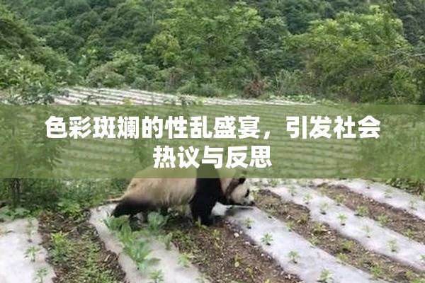 色彩斑斓的性乱盛宴，引发社会热议与反思
