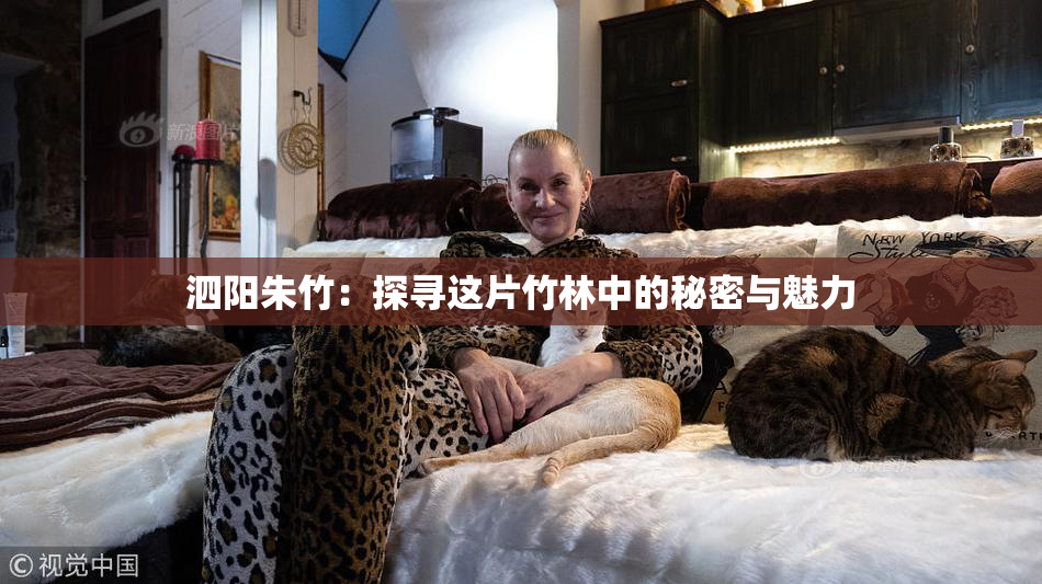 泗阳朱竹：探寻这片竹林中的秘密与魅力