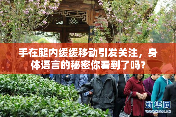 手在腿内缓缓移动引发关注，身体语言的秘密你看到了吗？