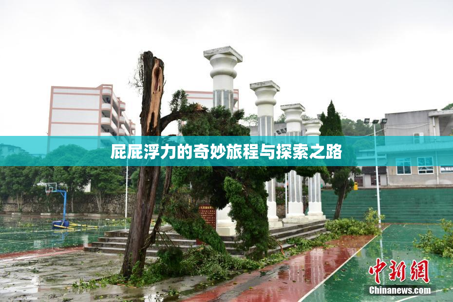屁屁浮力的奇妙旅程与探索之路