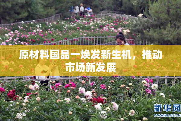 原材料国品一焕发新生机，推动市场新发展