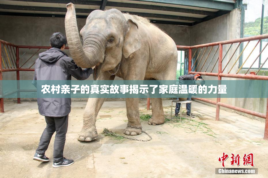 农村亲子的真实故事揭示了家庭温暖的力量