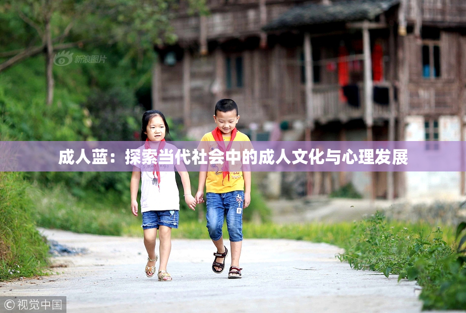 成人蓝：探索当代社会中的成人文化与心理发展