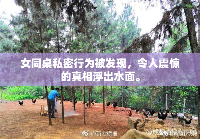 女同桌私密行为被发现，令人震惊的真相浮出水面。