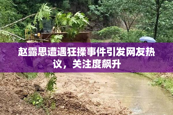 赵露思遭遇狂揉事件引发网友热议，关注度飙升