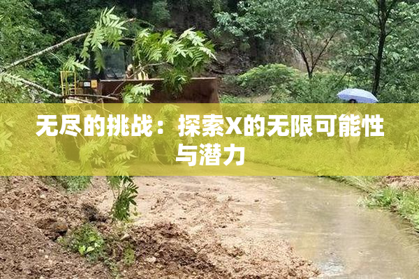 无尽的挑战：探索X的无限可能性与潜力