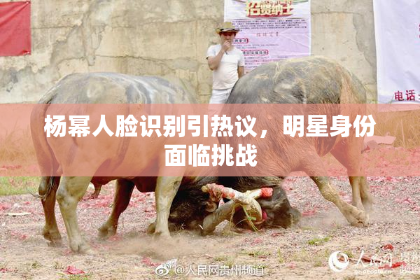 杨幂人脸识别引热议，明星身份面临挑战