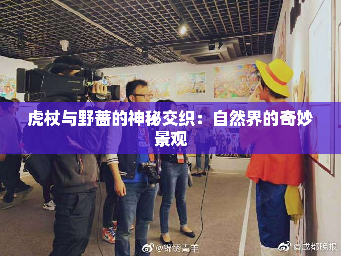 虎杖与野蔷的神秘交织：自然界的奇妙景观