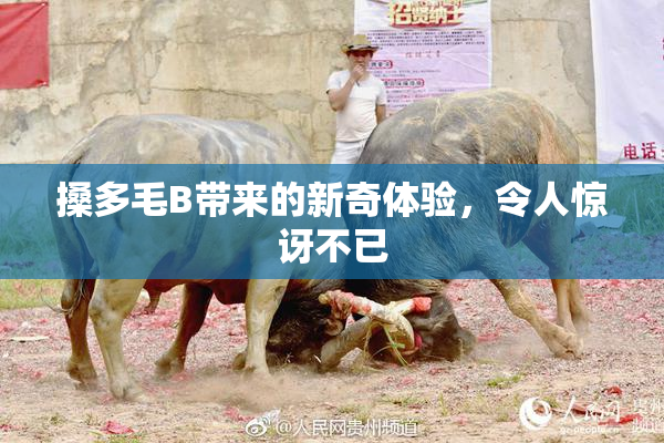 搡多毛B带来的新奇体验，令人惊讶不已