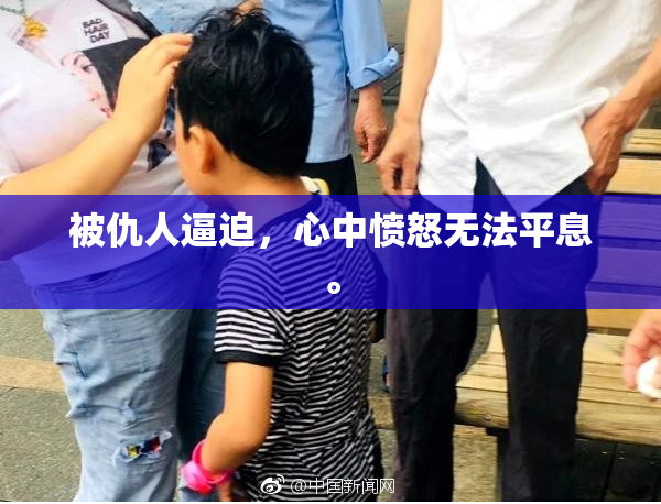 被仇人逼迫，心中愤怒无法平息。