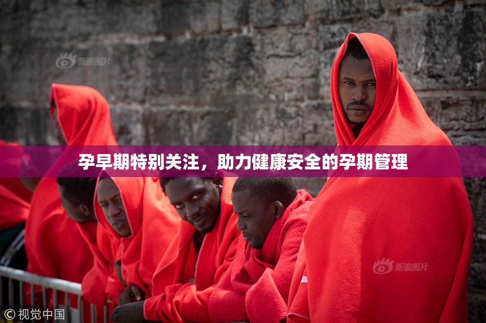 孕早期特别关注，助力健康安全的孕期管理