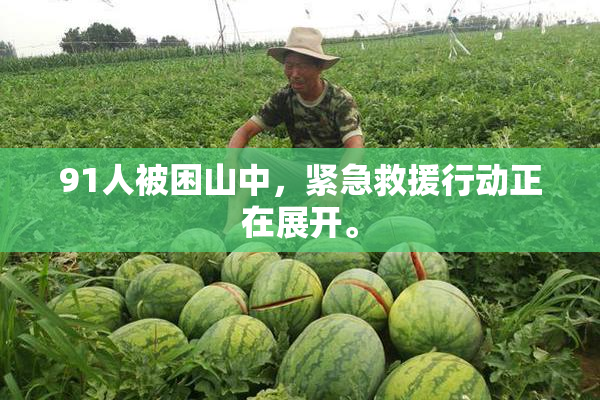 91人被困山中，紧急救援行动正在展开。
