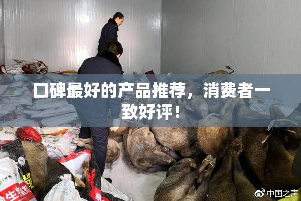 口碑最好的产品推荐，消费者一致好评！