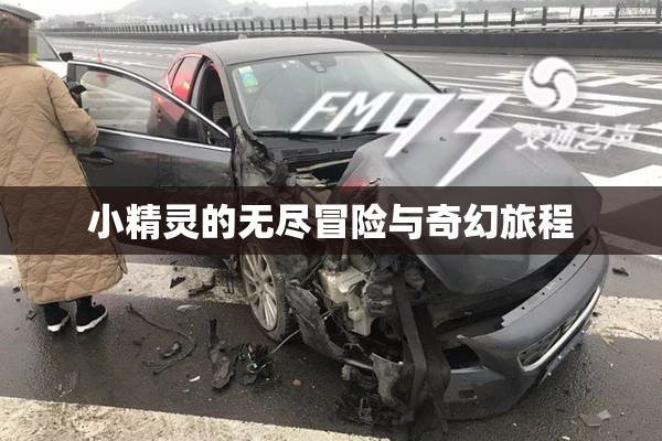 小精灵的无尽冒险与奇幻旅程