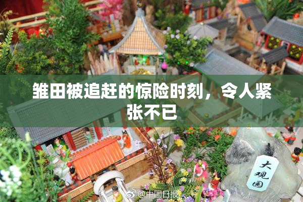 雏田被追赶的惊险时刻，令人紧张不已