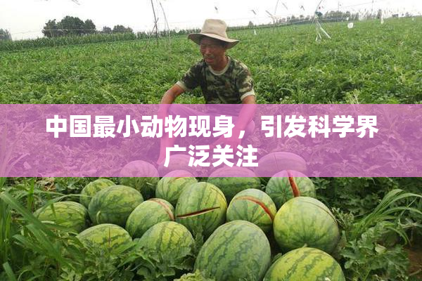 中国最小动物现身，引发科学界广泛关注
