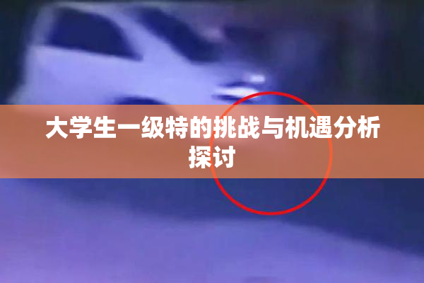 大学生一级特的挑战与机遇分析探讨