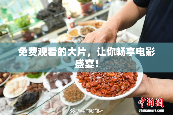 免费观看的大片，让你畅享电影盛宴！