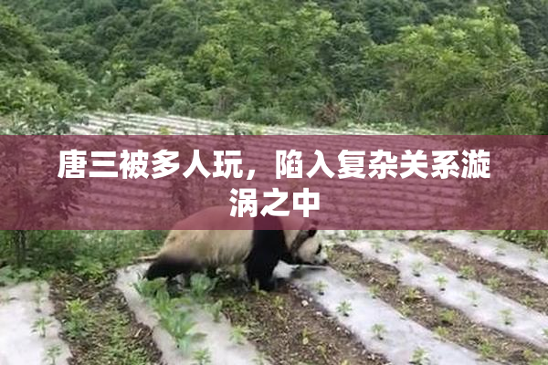 唐三被多人玩，陷入复杂关系漩涡之中