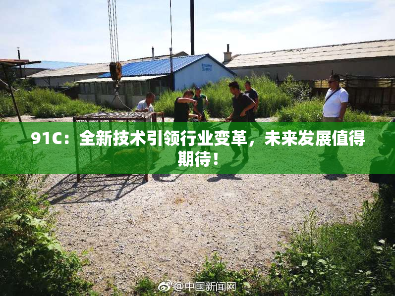 91C：全新技术引领行业变革，未来发展值得期待！
