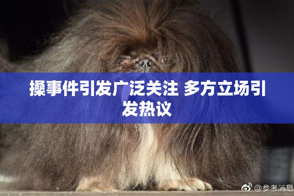 搡事件引发广泛关注 多方立场引发热议