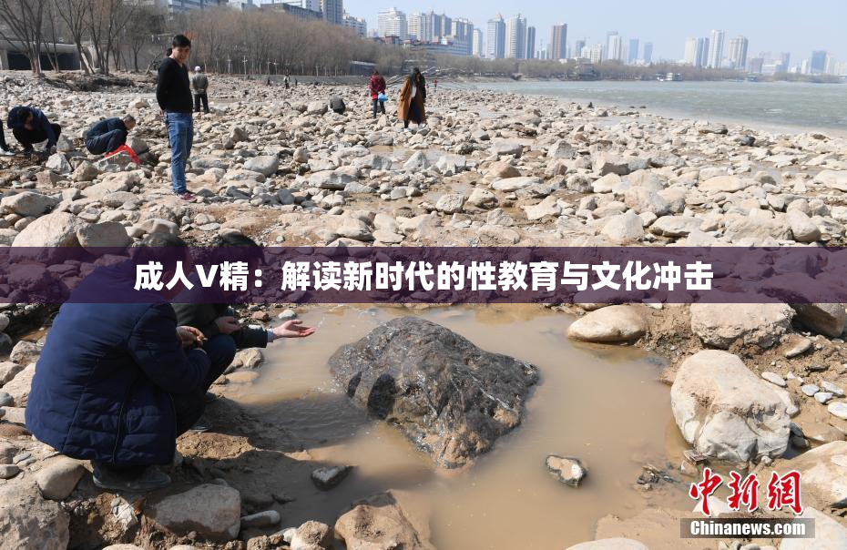 成人V精：解读新时代的性教育与文化冲击