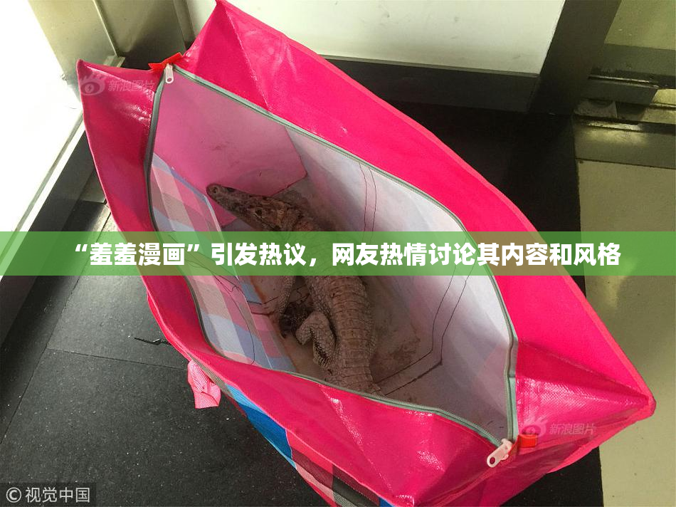“羞羞漫画”引发热议，网友热情讨论其内容和风格