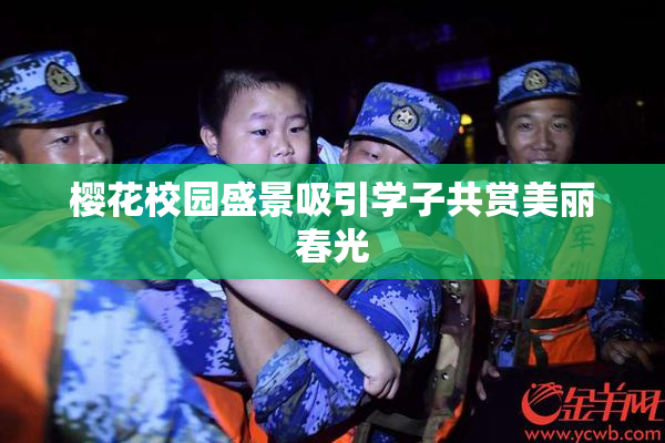 樱花校园盛景吸引学子共赏美丽春光