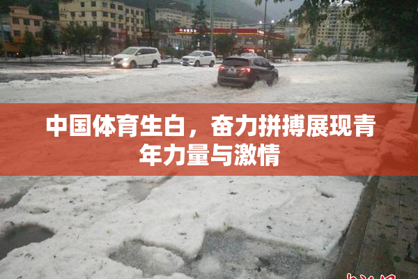 中国体育生白，奋力拼搏展现青年力量与激情