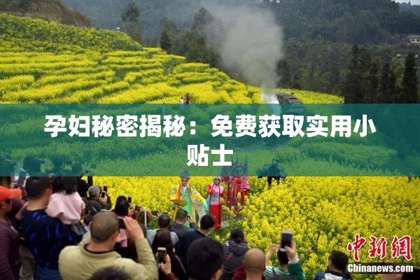 孕妇秘密揭秘：免费获取实用小贴士