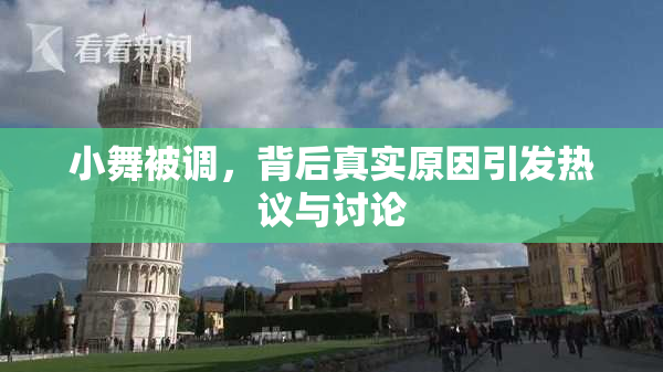 小舞被调，背后真实原因引发热议与讨论