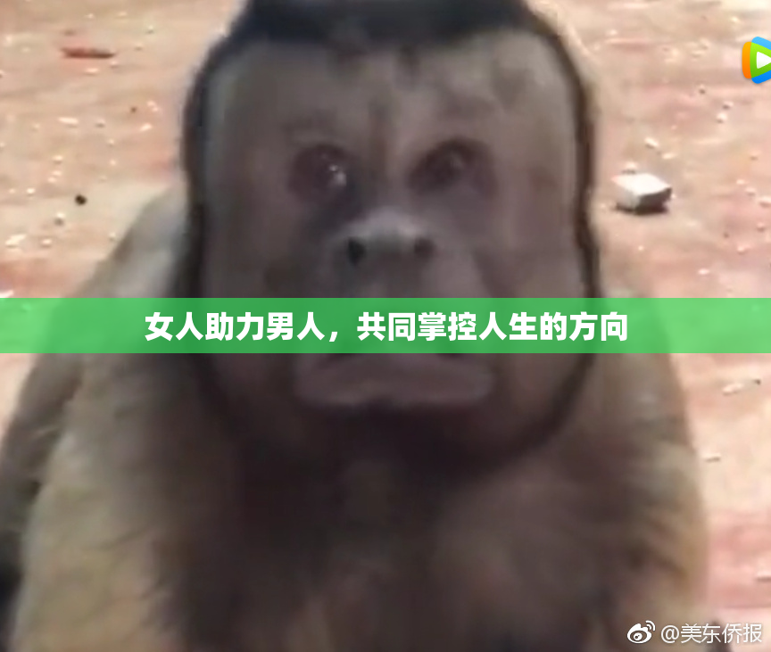 女人助力男人，共同掌控人生的方向
