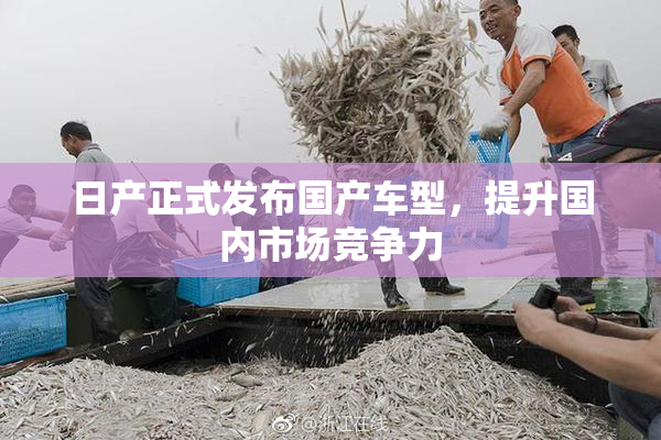 日产正式发布国产车型，提升国内市场竞争力
