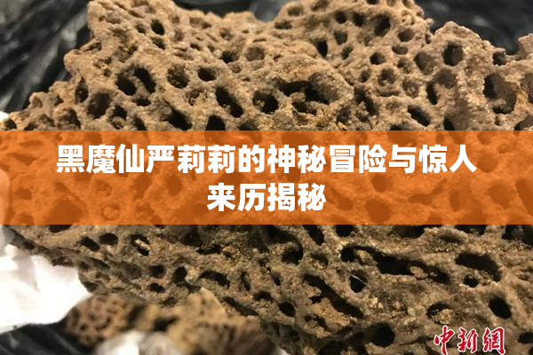 黑魔仙严莉莉的神秘冒险与惊人来历揭秘