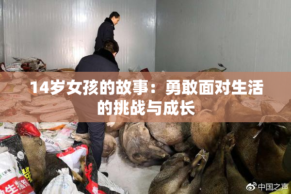 14岁女孩的故事：勇敢面对生活的挑战与成长