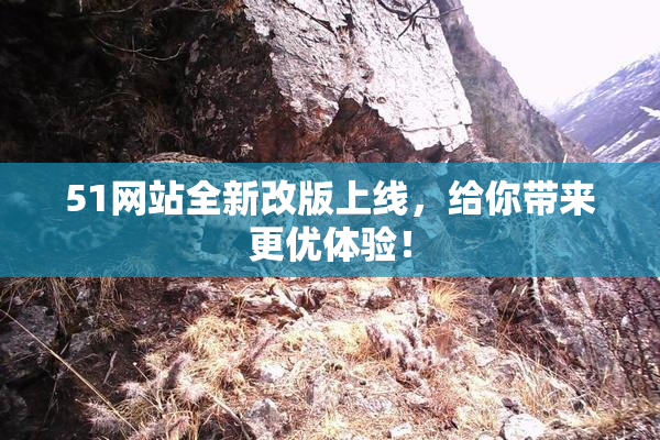 51网站全新改版上线，给你带来更优体验！