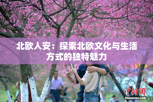 北欧人安：探索北欧文化与生活方式的独特魅力