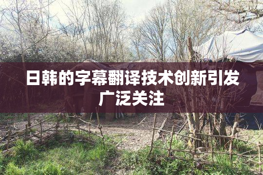 日韩的字幕翻译技术创新引发广泛关注