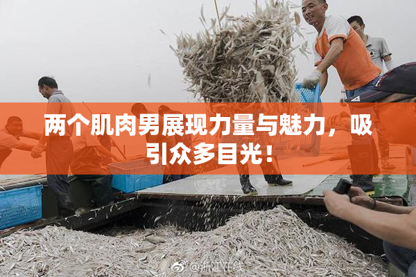 两个肌肉男展现力量与魅力，吸引众多目光！